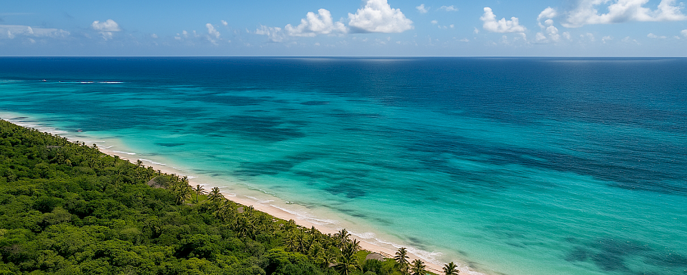 Giving Back in Paradise — Volunteer Opportunities in Playa del Carmen